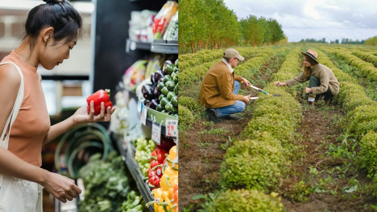 Alerta Temprana: la sociedad cooperativa ¿Una asignatura pendiente?