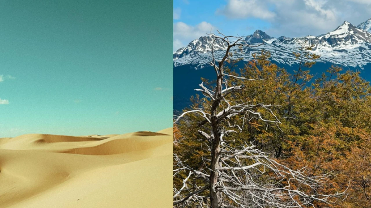 Entre Argelia y la Patagonia chilena